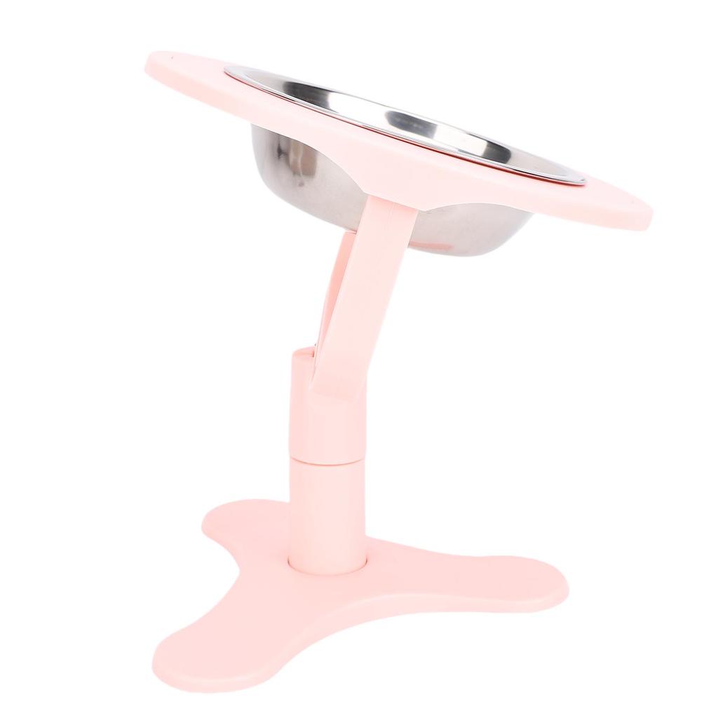 Elevated Cat Bowls with Stand 15 Tilted Stainless Steel Anti Slip Feeder for Indoor Pets