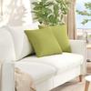 Sofa Cushions 2 Pcs Light Green 45 X 45 Cm Fabric