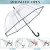 Creative Simplicity Long Handled Umbrella 8 Bone Transparent Umbrella Automatic Windproof Curved Handle Straight Rod Umbrella