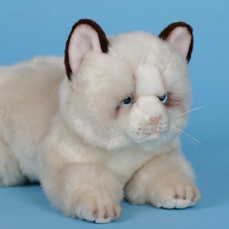 Katzen-Plüschtier mit PP-Baumwollfüllung, weiche Tier-Stoffpuppe für Kinder und Sammler