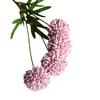 Simulation D andelion Flower Cloth Flowers Wedding Bouquet Party Decor