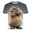 Roliga Arg Katt Grafik 3D-Tryckt Herr T-shirt Sommarmode Kortärmad Herr Dam T-shirts Casual Oversized T-shirts