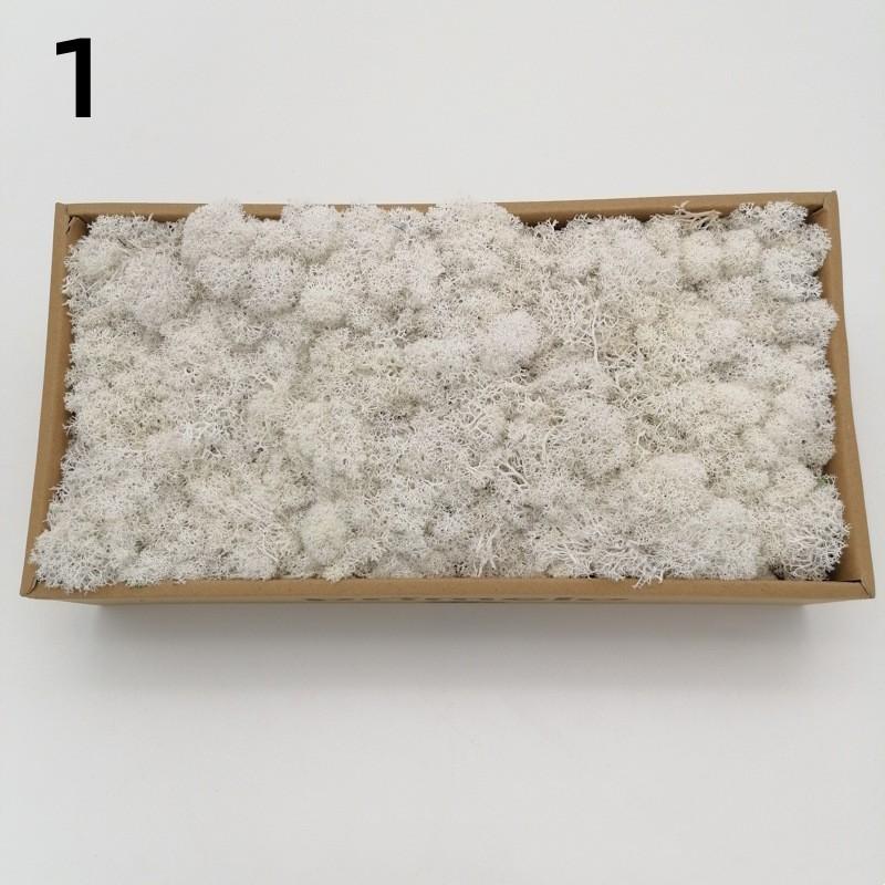 Neue 50/30/10g Künstliche Grüne Pflanzen Ewiges Leben Moos Gras Heim Garten Dekoration Mini Landschaft Künstliche Blume DIY Bastelgeschenke