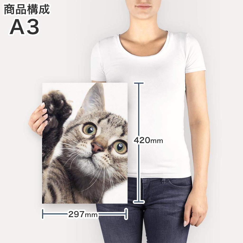 Art 420mm x Wall Wooden Stylish Interior Animal Photo Panel, Painting, Decoration, igsticker, 297mm, A3, Photo, Hanging, Frame, Decor, 002674, Animal,