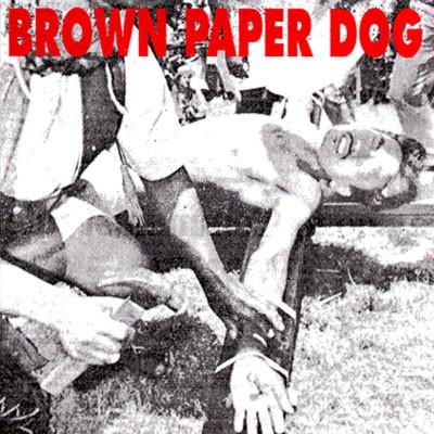 

7inch Record BROWN PAPER DOG - With Corns NONE Double Naught 1992 US Rock Used
