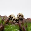Couvre-chef Squelette et Tête de Fantôme pour Halloween: 20pcs Pierre de Pavage Décoration pour Micro Paysage et Pots de Fleurs