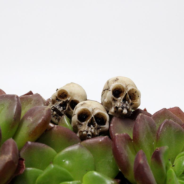 Couvre-chef Squelette et Tête de Fantôme pour Halloween: 20pcs Pierre de Pavage Décoration pour Micro Paysage et Pots de Fleurs