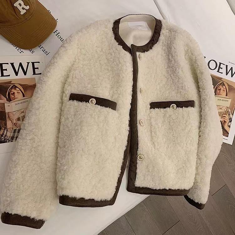 2026 New Autumn Winter Women's Lamb Wool Plush Jacket, Loose Thickened Shearling Short Coat in Chic Style