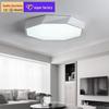 Modern LED Ceiling Lamp for Living Room, Bedroom, Corridor, and Balcony