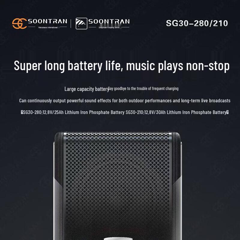 Songchuan International SG30-210 Professional Bluetooth Column Speaker (CN Version)