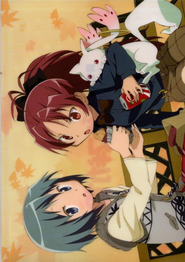 Clear File Puella Magi Madoka Magica Puella Magi Madoka Magica 10 (Exhibition) Archive U