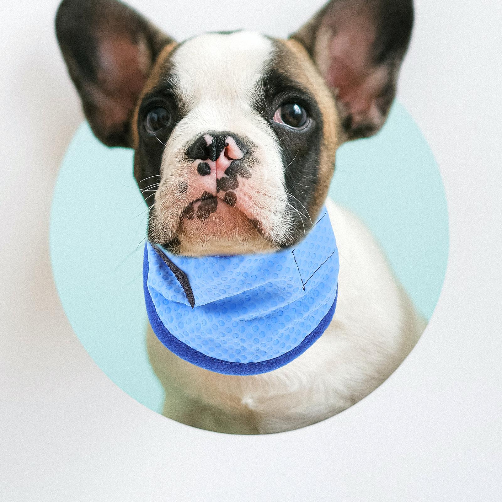 Pet Cooling Scarf for Dogs Summer Ice Collar Vest Comfortable Bandana Accessories Blue Dog Cool Collar S