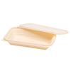 Homeglen Biodegradable Rectangular Food Containers