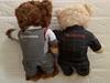 [USED] Not for Sale HONDA Teddy Bear - Exclusive Gift for Successful Purchasers - Honda