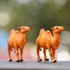 Desert DIY Accessories Camel Model Glass Decor Home Decoration Miniature Figurines Fairy Garden