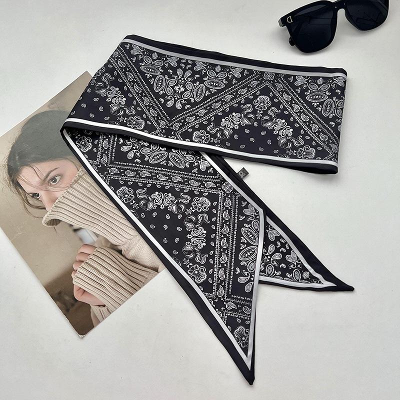 Double-sided Long Strip Small Silk Scarf Women's Professional Wear Spring and Summer New Decorative Small Scarf Tied Hair Band Streamer