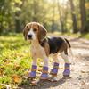 4 Pcs/set Wear Resistant Pet Net Boots Non-slip Dog Paw Protectors Dog Foot Covers  Outdoor Walking
