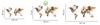3D Wooden World Map Beige Brown 130x72cm Cities Wall Decoration