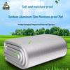 Outdoor Double Aluminum Film Moisture-Proof Camping Mat