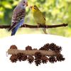 Birds Bite Toy Wooden Pine Cone Hanging Parrots Beak Grinding Toy with Metal Hook for Cage