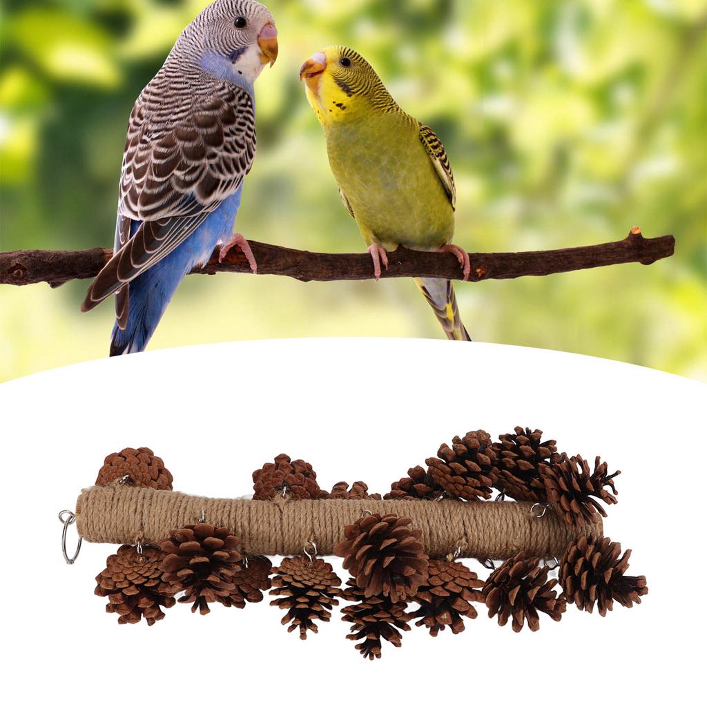 Birds Bite Toy Wooden Pine Cone Hanging Parrots Beak Grinding Toy with Metal Hook for Cage