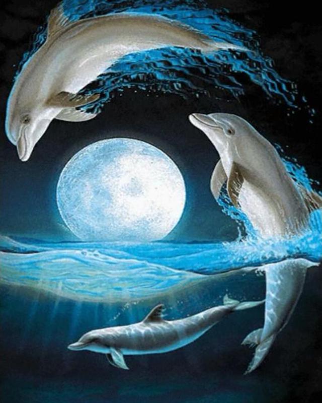 Diamond Painting Full Round Square Dolphins 5D DIY Diamond Embroidery Cross Stitch Sea Landscape Rhinestones Mosaic Wall Art