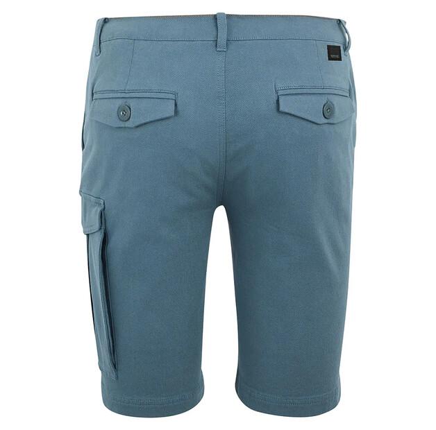Regatta Шорты Bendrick