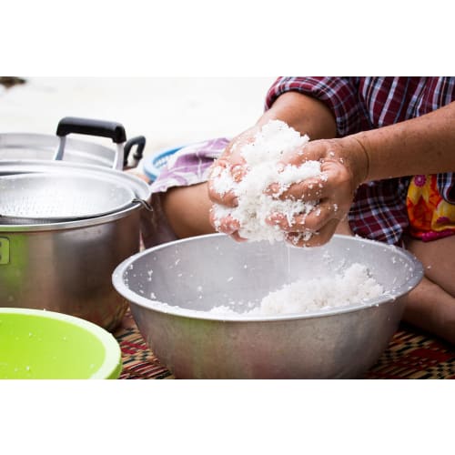 Mooninja Coconut Grater Scraper Shredder Blade Head Manual Kitchen Stainless Steel with 3 Screws