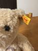 [USED] German-only Steiff teddy bear