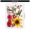 Dried Flower Leaf Kits for Epoxy Jewelry Molds Scrapbooking Supplies and Artistic Soap Making Phone Case Decoration