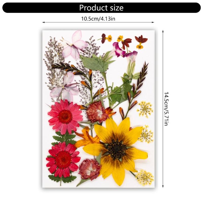 Dried Flower Leaf Kits for Epoxy Jewelry Molds Scrapbooking Supplies and Artistic Soap Making Phone Case Decoration
