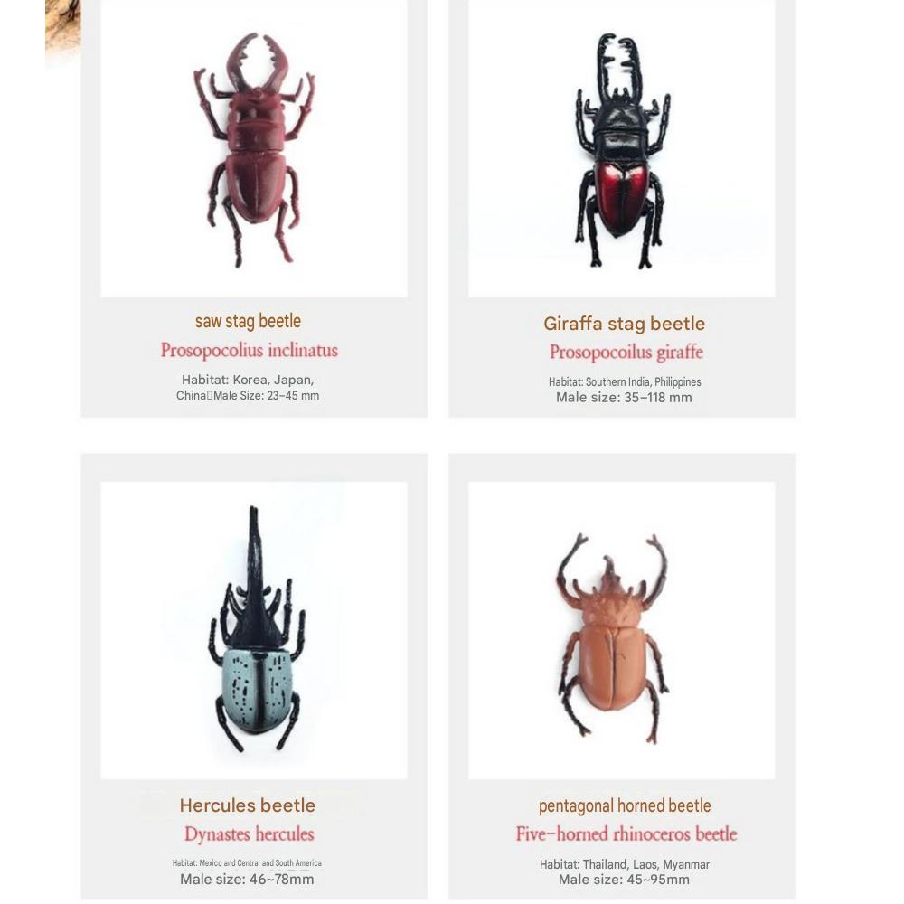 6 Rhinoceros Beetle + 6 Stag Beetle Set Insect Figure Model Toys