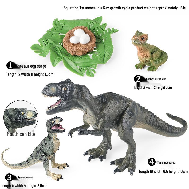 Montessori Cognitive Models: Sea Turtle, Hen, Frog, Snail, Butterfly, Bee Growth Cycle Toys