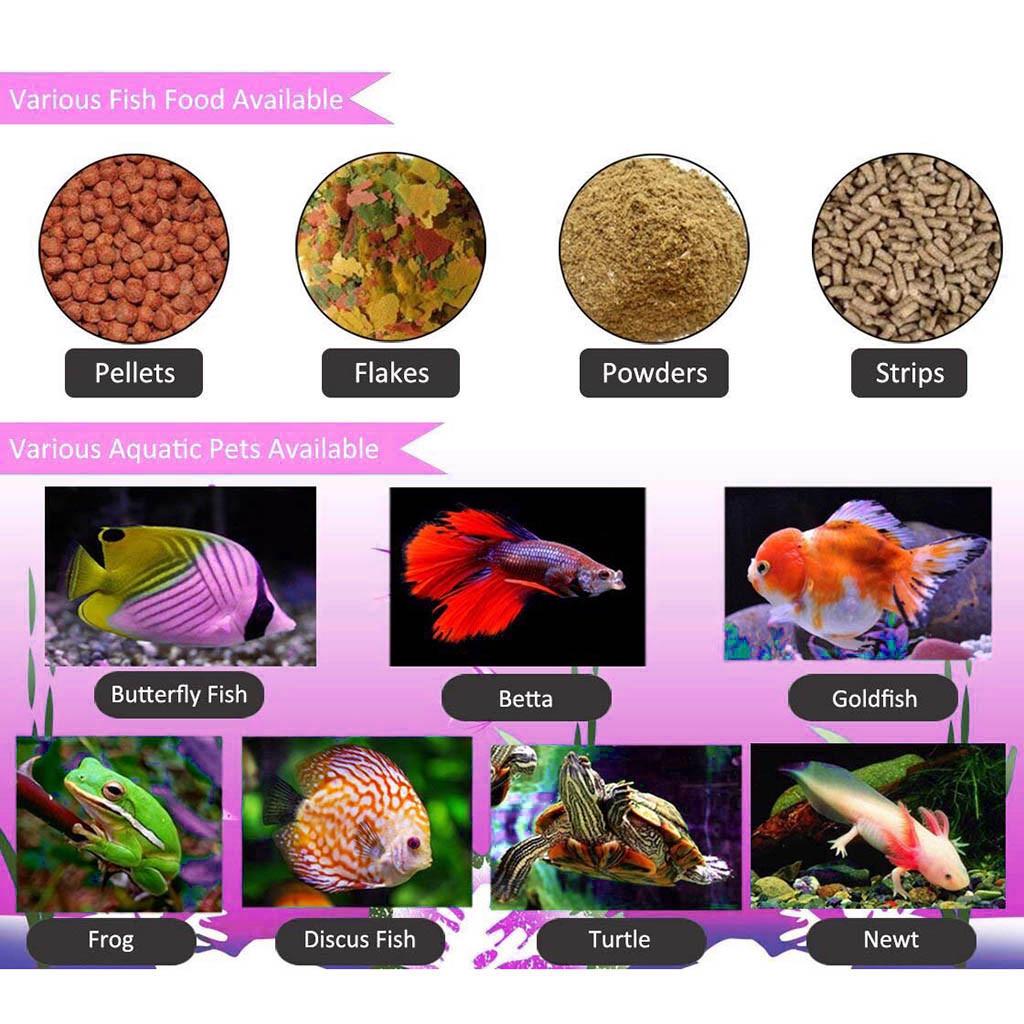 goldfish auto feeder