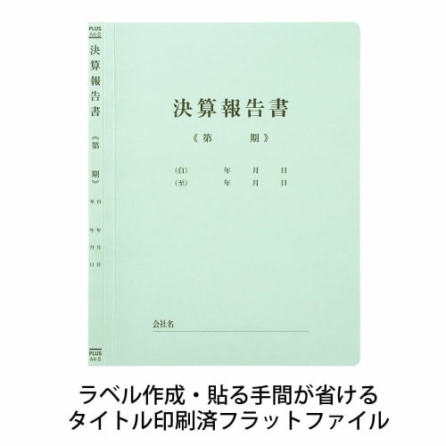 Plus Printing Flat File Financial Report A4 No.021HA 10 Books 79-305ÁE0