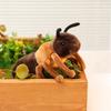 Cute Simulation Insect Plush Toy Educational Spider Plush Toy Butterfly Stuffed Doll  Kids Student