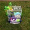 Bird Cage For Small Birds With Metal Construction And Luxurious Villa Design For Home Use