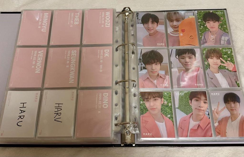 [USED] Anonymous Shipping SEVENTEEN HARU Con Trading Cards Complete Set of 131