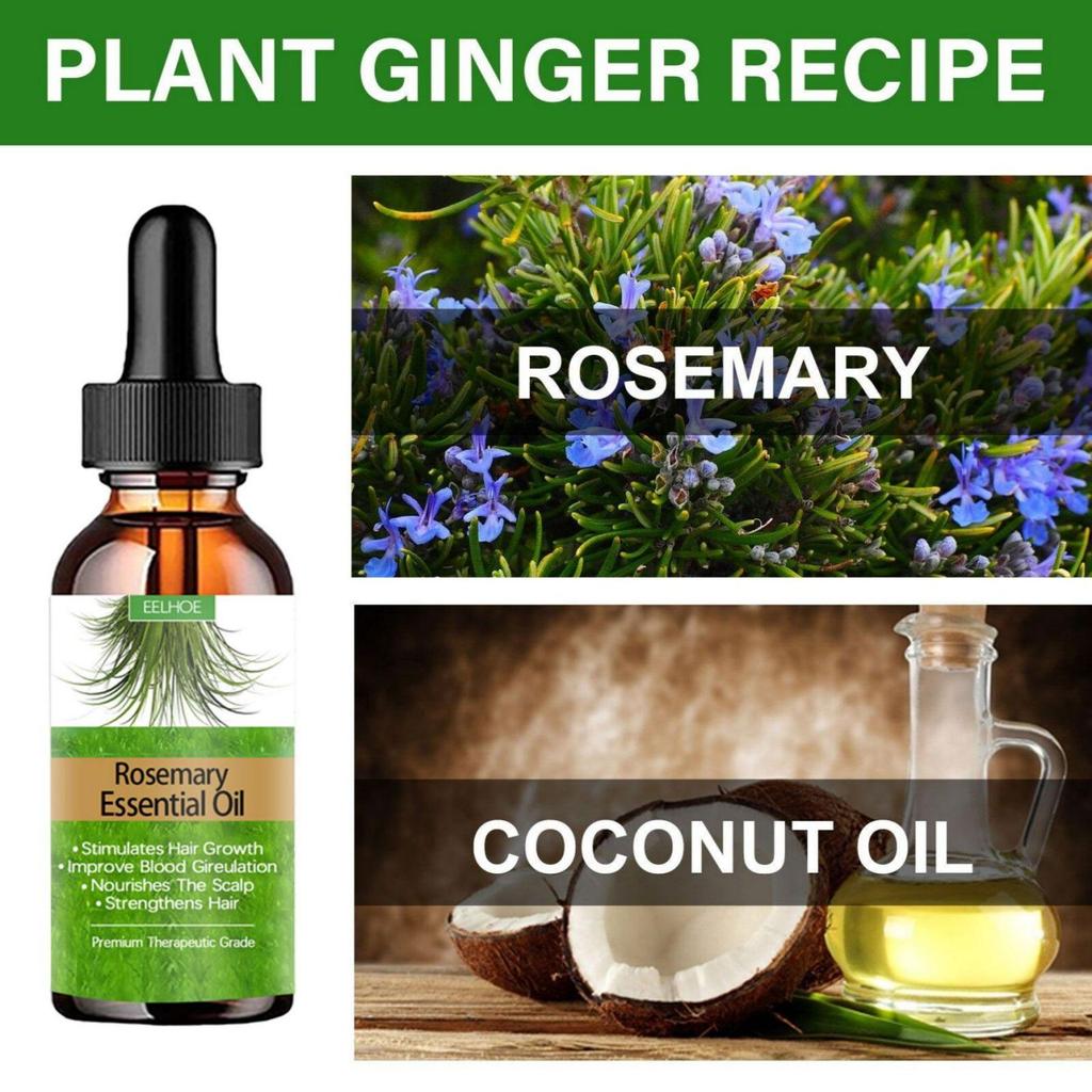 Rosemary Hair Care Essential Oil Hair Growth To Prevent Hair Breakage Nti-frizz Hair Smooth Serum Hair Loss Nourish Replenish