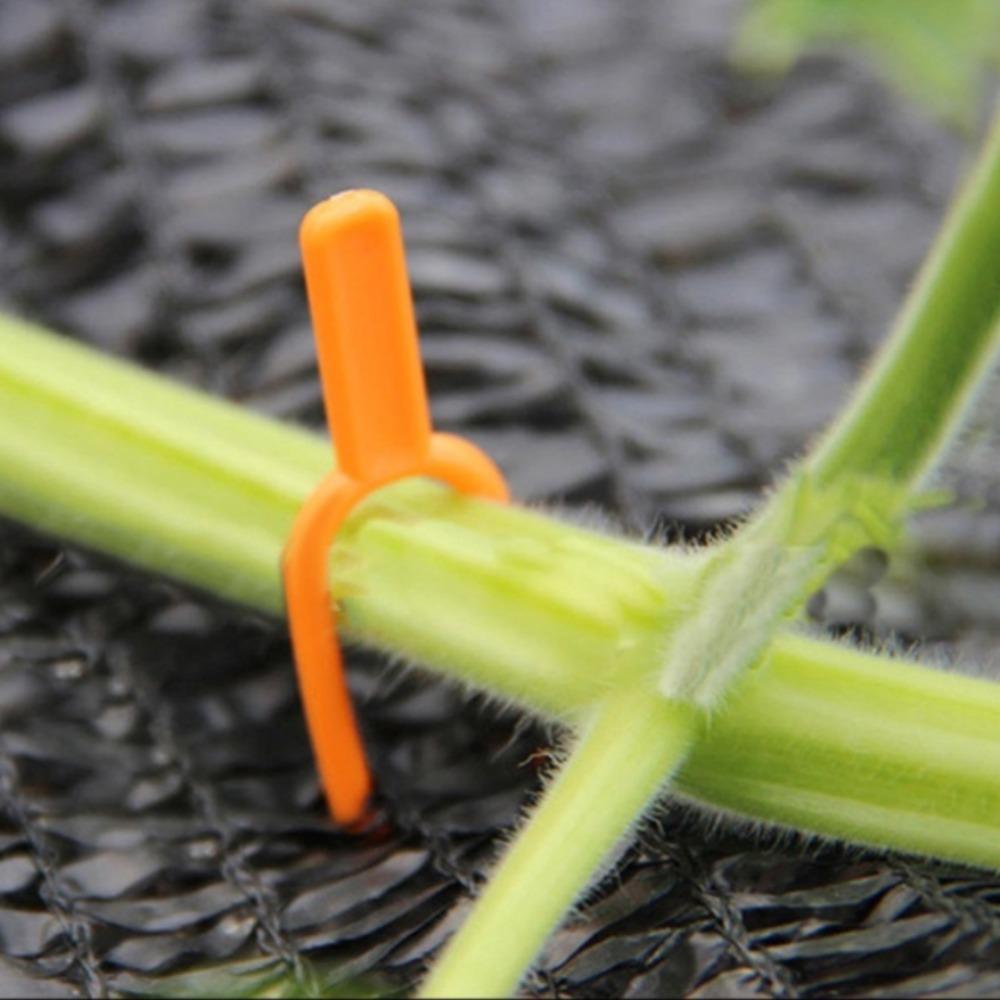 50pcs Plastic Plant Fastening Clips Strawberry Planting Fork Horticultural Supplies Fixed Plant Rooting & Seedling Raising Tools