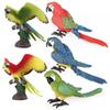Wild Animal Simulation: Flying Parrot & Peacock Model Toy Ornament for Kids