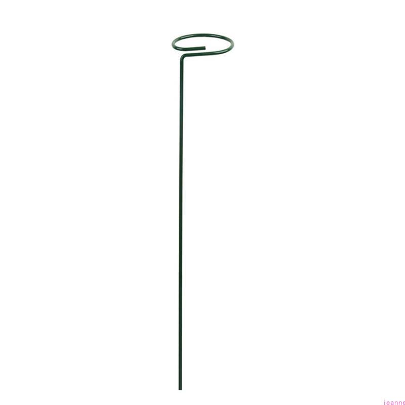 Garden Support Stake Ring Metal Garden Plant Supports Single Stem Shrub Holder