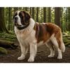 Dog Collar - EDEN - Montana - Quilted Leather - XXXL 58-68 Cm - 50 Mm