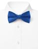 [Bowties Jp] Selectable Color Bow Tie [Bowties.jp] (Royal Blue)