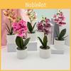 Phalaenopsis Fake Flower Potted Plant For Wedding Home And Decoration Commercial