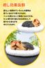 TASINO Dog Plush Toy Figurine 26 x 18 cm Realistic Cute Lifelike