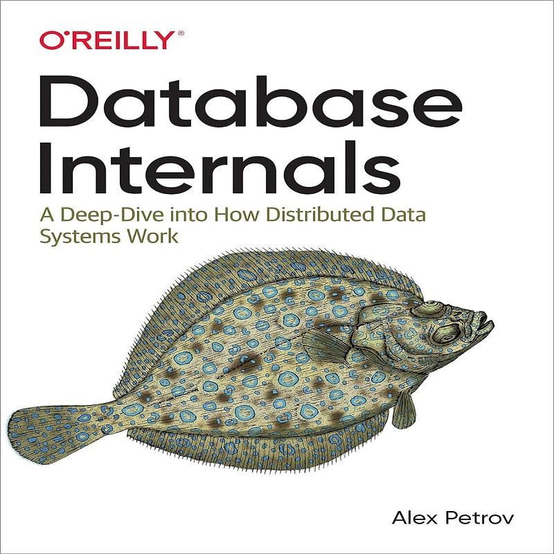 Database Internals Paperback