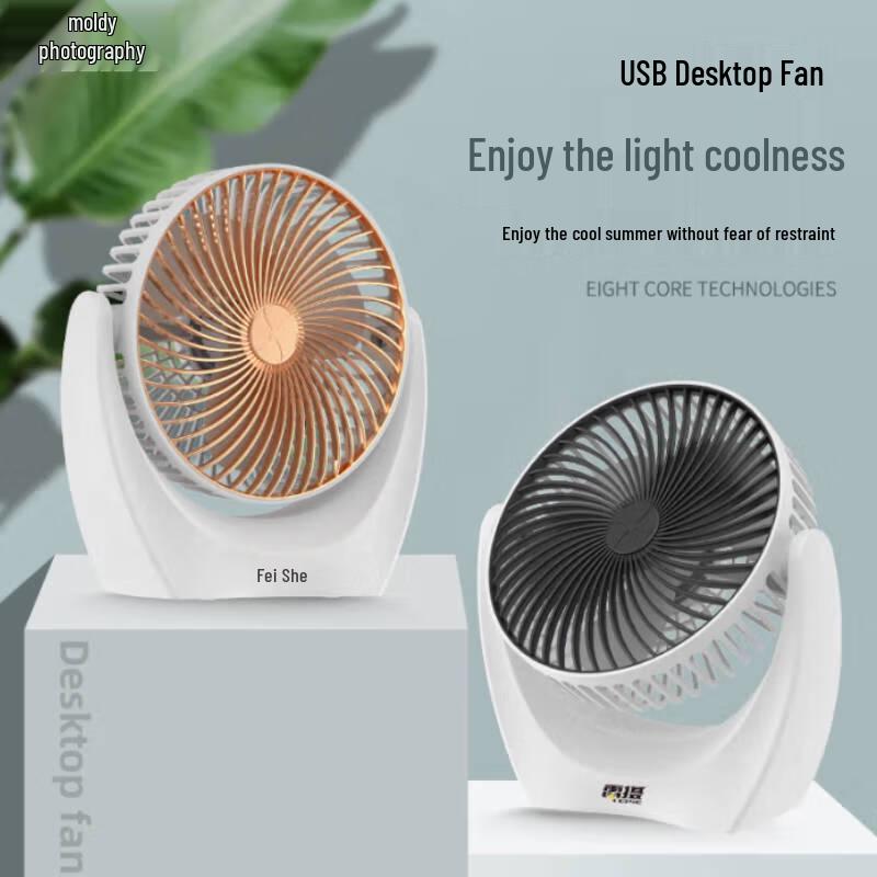 LEISE LS-V01 Portable Oscillating USB Desk Fan