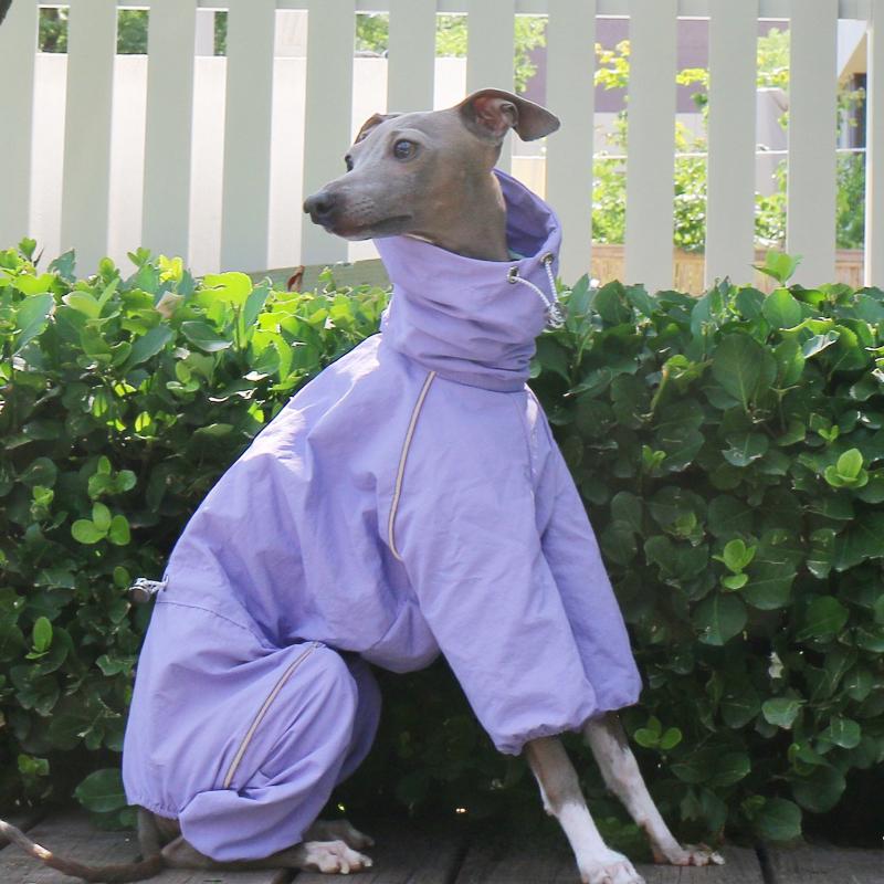 Sommer Outdoor Hundekleidung Greyhound Mäntel Hoher Kragen Wasserdicht Whippet Hundekleidung Designer Luxus Hunde Mantel Groß Mittel Klein