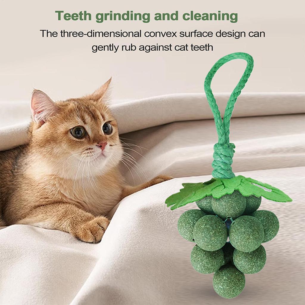 Toys Have A Fragrant Chewing Aid, Relaxing Properties, And Grape Models, Used To Reduce Boredom And Family Entertainment